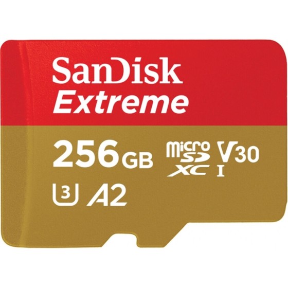 Carte Mémoire Micro SD avec Adaptateur SanDisk SDSQXA1-256G-GN6MA   256 GB UHS-I