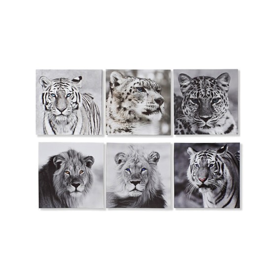 Cadre DKD Home Decor animaux (40 x 1.8 x 40 cm) (6 pcs)