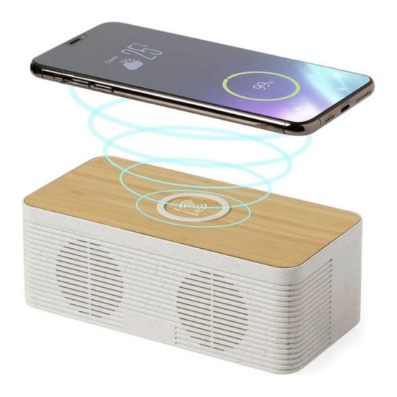 Haut-parleur Bluetooth avec...