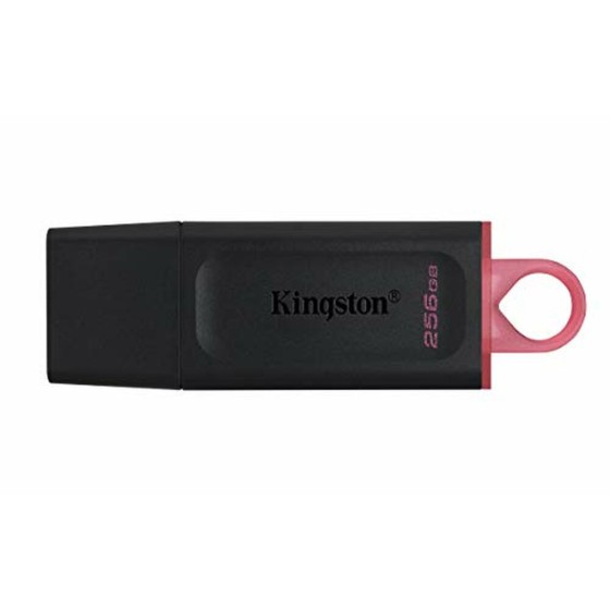 Clé USB Kingston DTX/256GB 256 GB