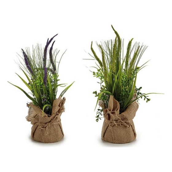 Plante décorative (12 x 39...