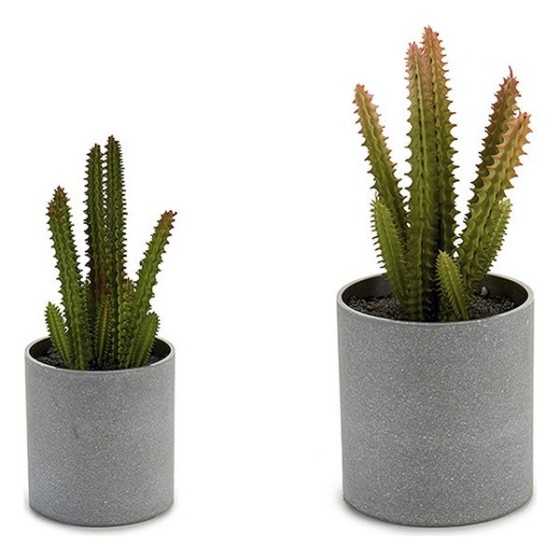 Pot Petit Cactus (7,5 x 19...