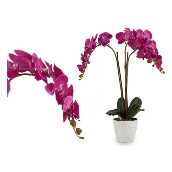 Pot Blanc Fuchsia (44 x 88...