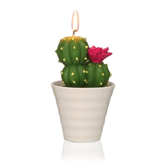 Bougie Paraffine Cactus