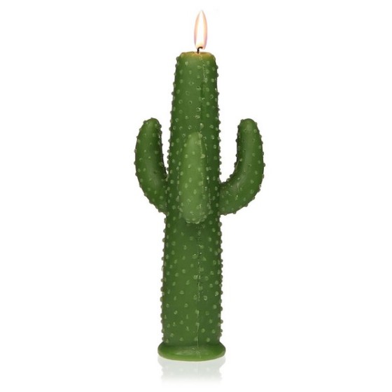 Bougie Paraffine Cactus