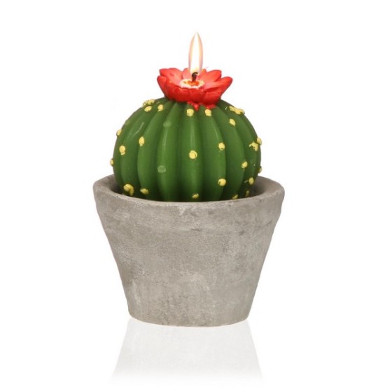 Bougie Paraffine Cactus