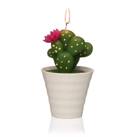 Bougie Paraffine Cactus