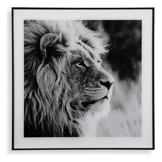 Cadre Lion Verre (2 x 50 x 50 cm)