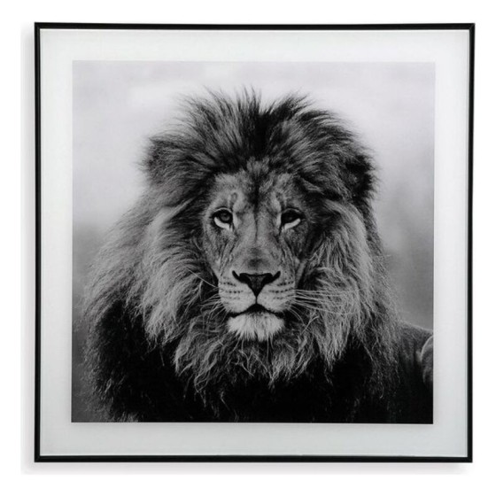 Cadre Lion Verre (2 x 50 x 50 cm)