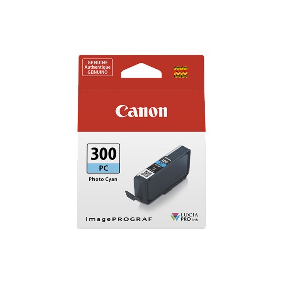 Cartouche d'encre originale Canon 300PC