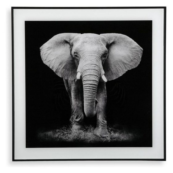 Cadre Elephant (2 x 50 x 50 cm)