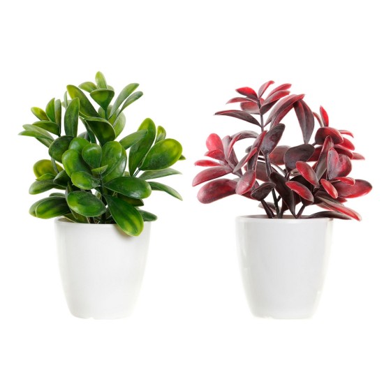 Plante décorative DKD Home Decor Rouge Vert Grès Polypropylène (PP) (2 pcs) (13 x 11 x 17.5 cm)