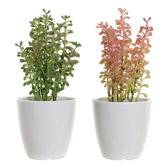 Plante décorative DKD Home Decor Mélamine Grès Polypropylène (PP) (2 pcs) (10 x 8 x 18.5 cm)