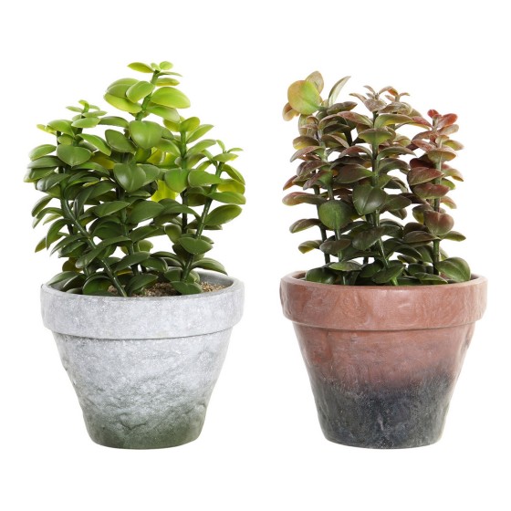 Plante décorative DKD Home Decor Grès Polypropylène (PP) EVA (2 pcs) (16 x 16 x 29.5 cm)