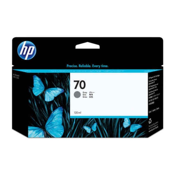 Cartouche d'encre originale HP 70A Gris