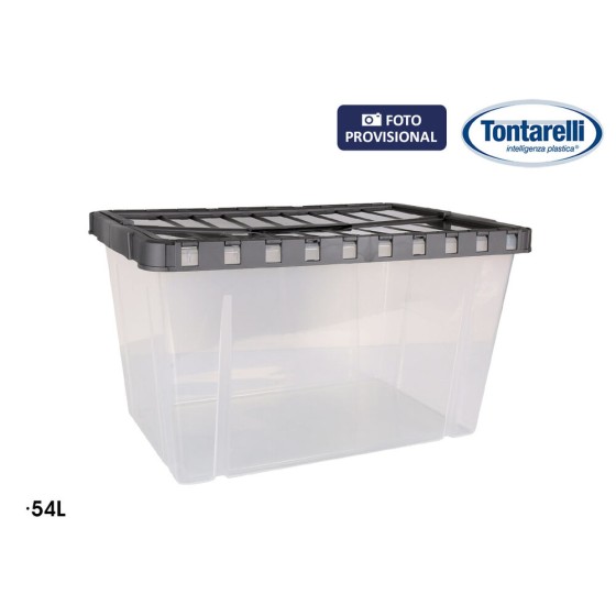 Boîte de rangement avec couvercle Double Transparent Anthracite (54 L)