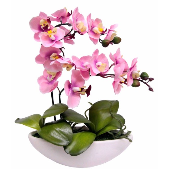 Bouquets Orchidée Rose (27 cm) (Reconditionné D)